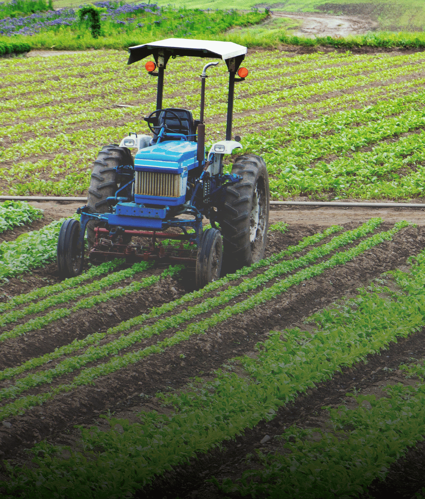 Agriculture